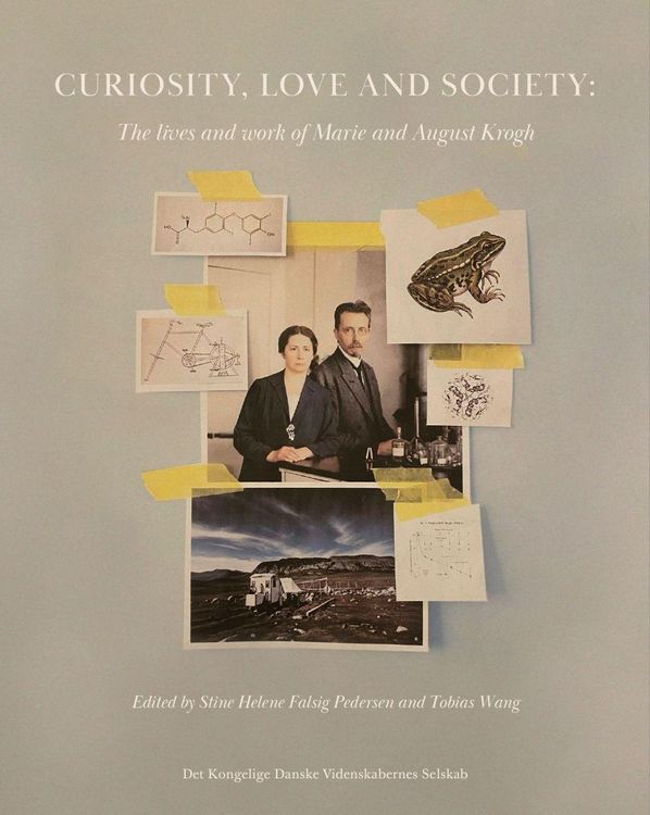 Produktbild: Curiosity, Love and Society