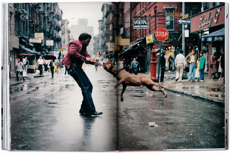 Produktbild: New York. Portrait of a City