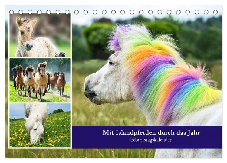 Produktbild: Mit Islandpferden durch das Jahr Geburtstagskalender (Tischkalender 2026 DIN A5 quer), CALVENDO Monatskalender