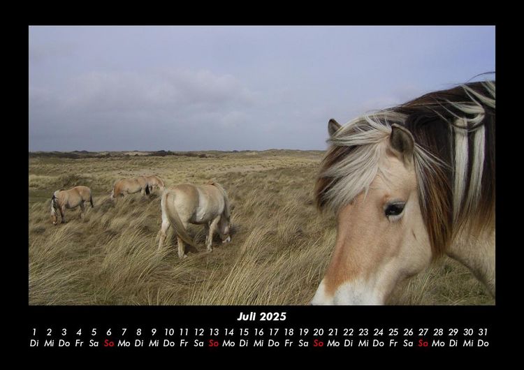 Produktbild: Die Welt der Pferde 2025 Fotokalender DIN A3