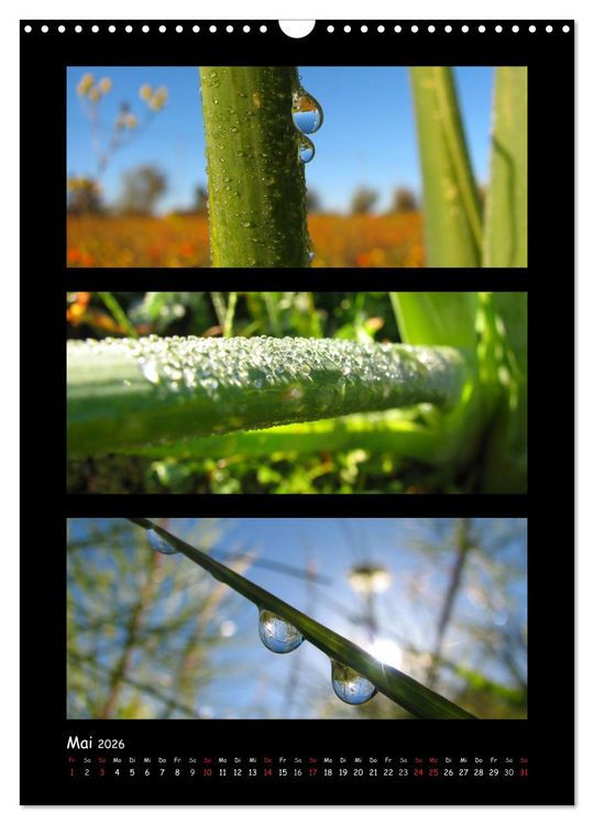 Produktbild: ZAUBERWELT DER BLUMEN - EISKRISTALLE & WASSERPERLEN (Wandkalender 2026 DIN A3 hoch), CALVENDO Monatskalender