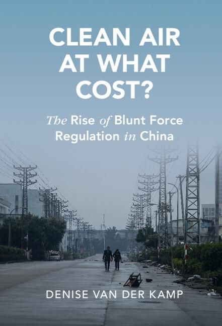Produktbild: Clean Air at What Cost?