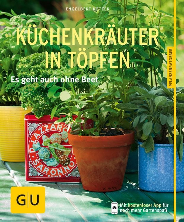 Produktbild: K&uuml;chenkr&auml;uter in T&ouml;pfen