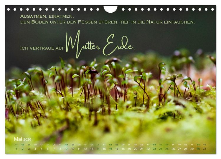 Produktbild: Vertraue! (Wandkalender 2026 DIN A4 quer), CALVENDO Monatskalender