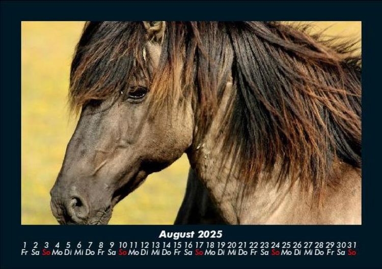 Produktbild: Die Welt der Pferde 2025 Fotokalender DIN A5