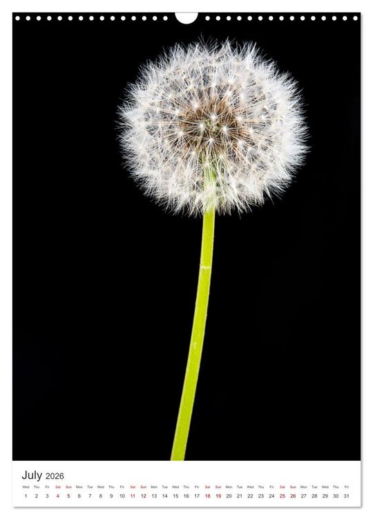 Produktbild: Springtime in my garden (Wall Calendar 2026 DIN A3 portrait), CALVENDO 12 Month Wall Calendar