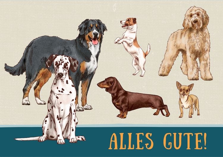 Produktbild: Pop-up-Gru&szlig;karte &ndash; I love Dogs