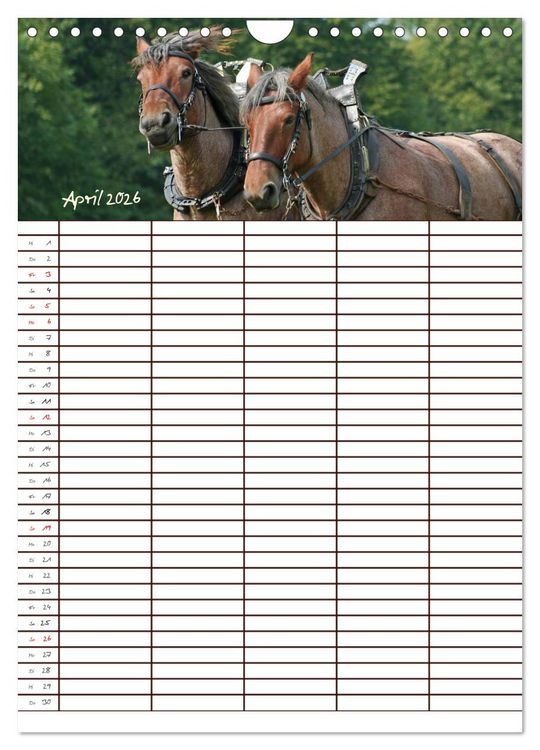 Produktbild: Der Kaltblut-Familienplaner (Wandkalender 2026 DIN A4 hoch), CALVENDO Monatskalender