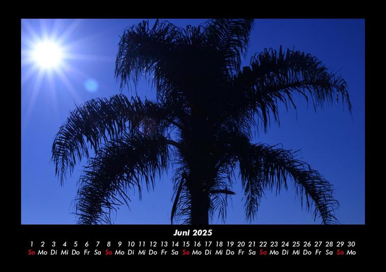 Produktbild: Palmentraum 2025 Fotokalender DIN A3