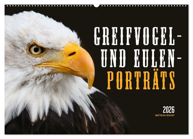 Produktbild: GREIFVOGEL- UND EULENPORTR&Auml;TS (Wandkalender 2026 DIN A2 quer), CALVENDO Monatskalender