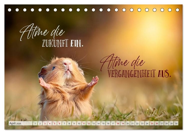 Produktbild: SEELENZEIT Ein Jahr voller Achtsamkeit (Tischkalender 2026 DIN A5 quer), CALVENDO Monatskalender