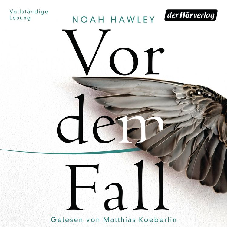 Produktbild: Vor dem Fall