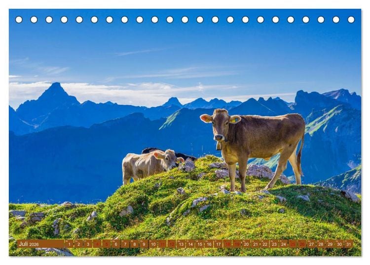 Produktbild: Allg&auml;uer Sch&ouml;nheiten Allg&auml;u - Land der K&uuml;he (Tischkalender 2026 DIN A5 quer), CALVENDO Monatskalender