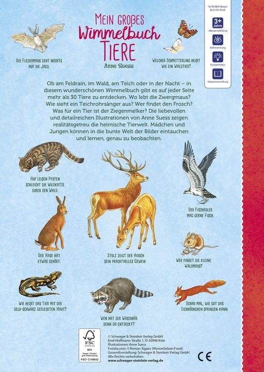 Produktbild: Mein gro&szlig;es Wimmelbuch Tiere