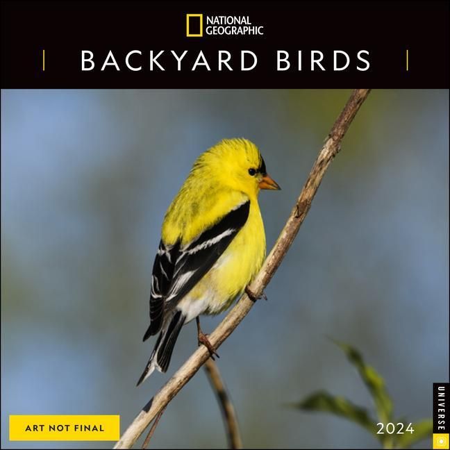 Produktbild: National Geographic: National Geographic: Backyard Birds 202