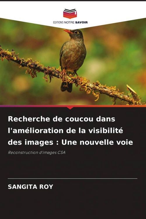 Produktbild: Recherche de coucou dans l'am&eacute;lioration de la visibilit&eacute; des images : Une nouvelle voie