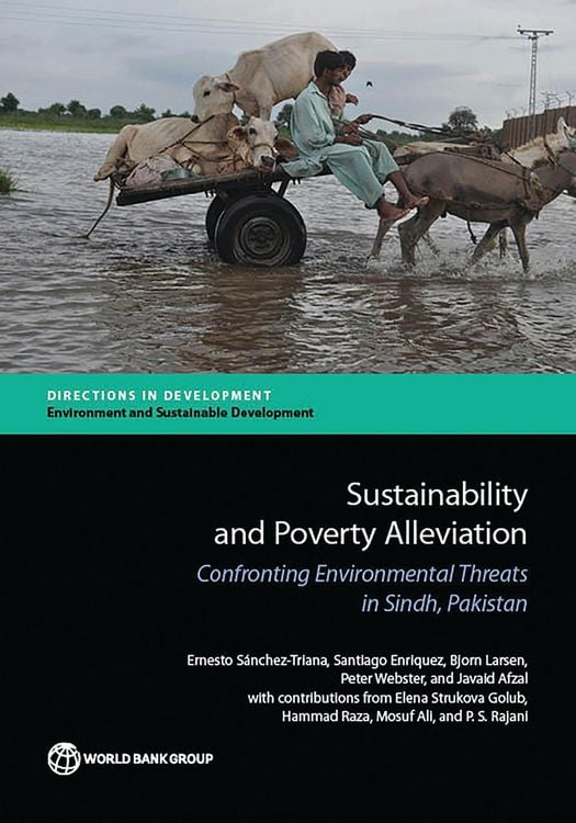 Produktbild: Sustainability and Poverty Alleviation