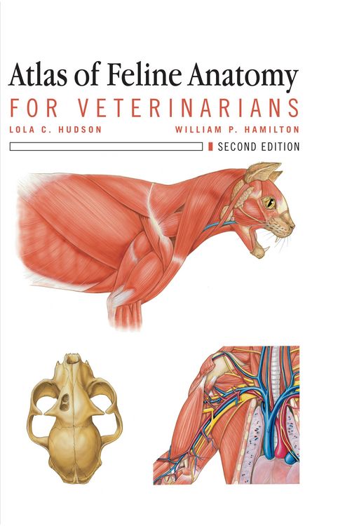 Produktbild: Atlas of Feline Anatomy For Veterinarians