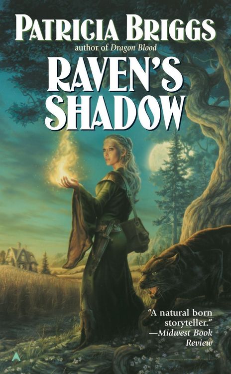 Produktbild: Raven's Shadow