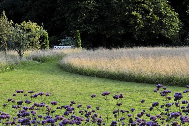 Produktbild: Meine Vision wird Garten