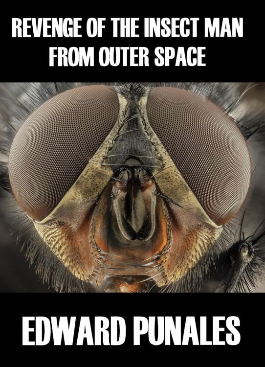 Produktbild: Revenge of the Insect Man From Outer Space: A Humorous Short Story