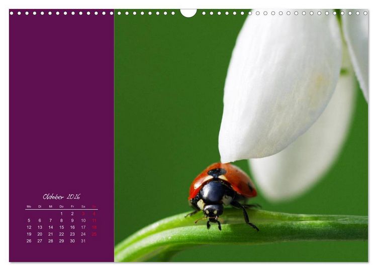 Produktbild: Momente des Gl&uuml;cks (Wandkalender 2026 DIN A3 quer), CALVENDO Monatskalender