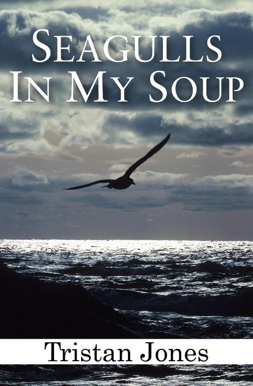 Produktbild: Seagulls in My Soup