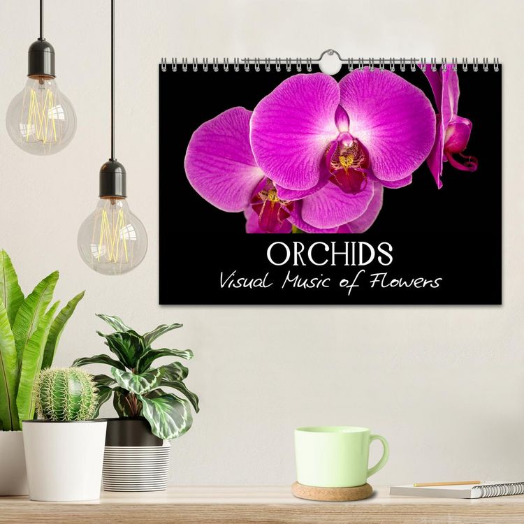 Produktbild: Orchids (Wall Calendar 2026 DIN A4 landscape), CALVENDO 12 Month Wall Calendar