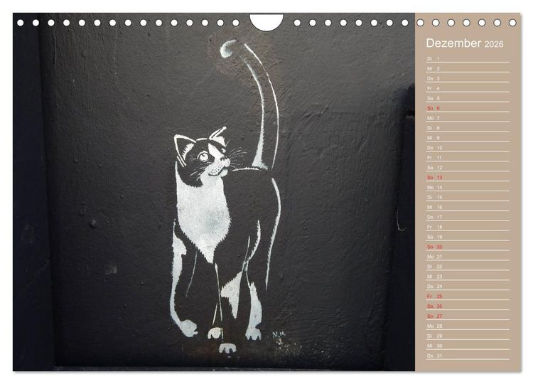 Produktbild: Flensburger Katzen (Wandkalender 2026 DIN A4 quer), CALVENDO Monatskalender