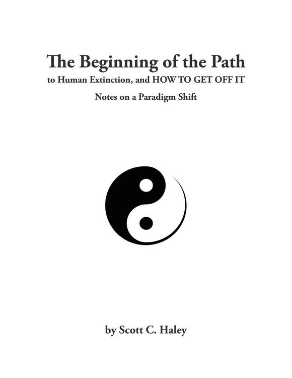 Produktbild: The Beginning of the Path to Human Extinction, and HOW TO GET OFF IT - Notes on a Paradigm Shift
