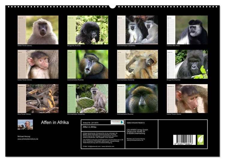 Produktbild: Affen in Afrika (hochwertiger Premium Wandkalender 2026 DIN A2 quer), Kunstdruck in Hochglanz