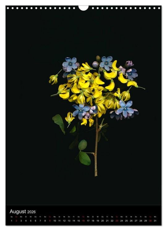 Produktbild: Blumen bei Nacht (Wandkalender 2026 DIN A3 hoch), CALVENDO Monatskalender