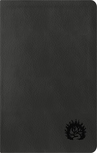 Produktbild: ESV Reformation Study Bible, Condensed Edition - Charcoal, Leather-Like