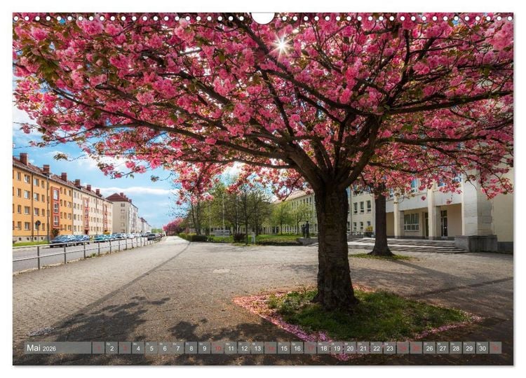 Produktbild: Chemnitz - Stadt und Natur (Wandkalender 2026 DIN A3 quer), CALVENDO Monatskalender