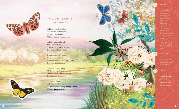 Produktbild: The Illustrated Emily Dickinson