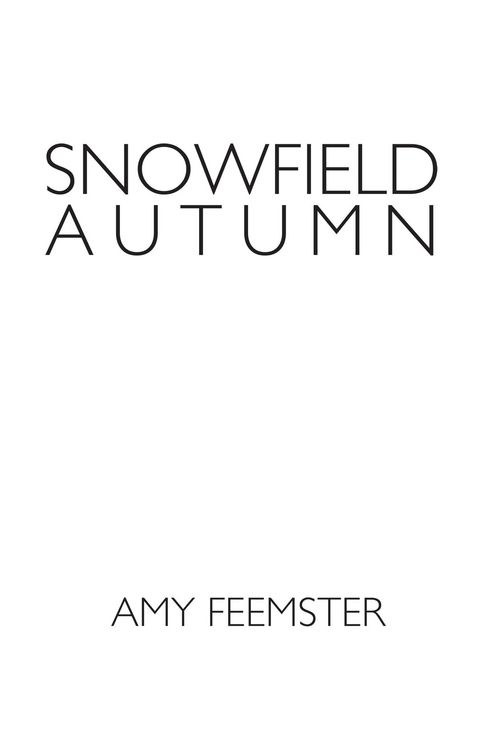 Produktbild: Snowfield Autumn