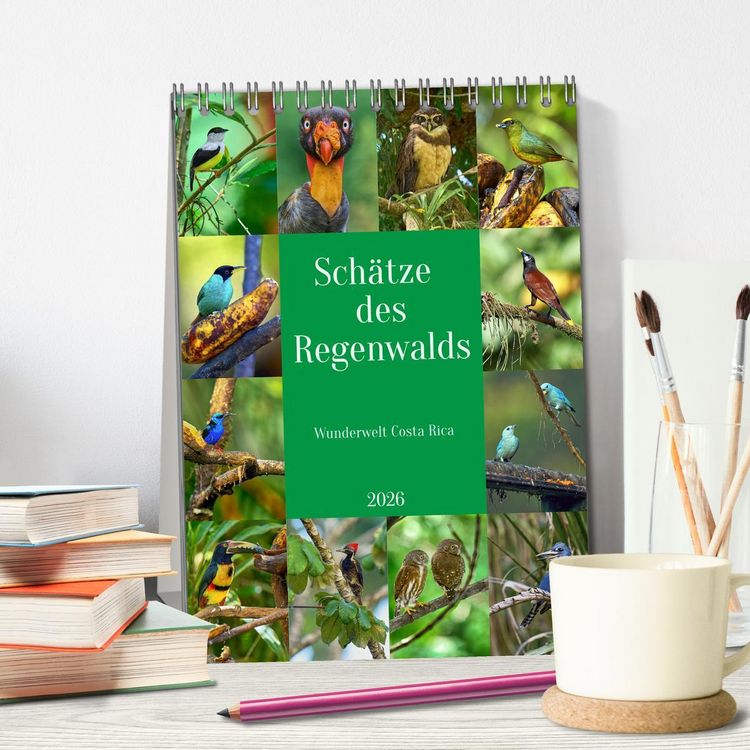 Produktbild: Sch&auml;tze des Regenwalds (Tischkalender 2026 DIN A5 hoch), CALVENDO Monatskalender