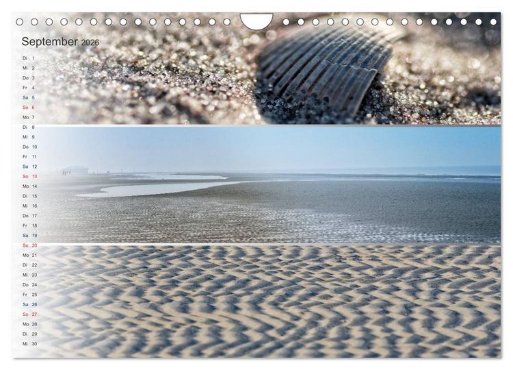 Produktbild: K&uuml;stenstreifen an der Nordsee (Wandkalender 2026 DIN A4 quer), CALVENDO Monatskalender