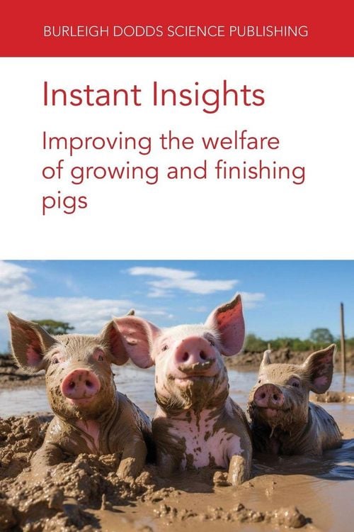 Produktbild: Instant Insights