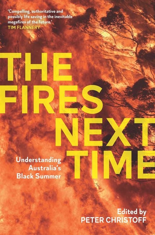 Produktbild: Fires Next Time