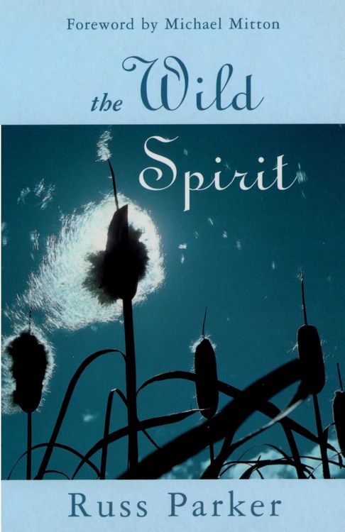 Produktbild: The Wild Spirit