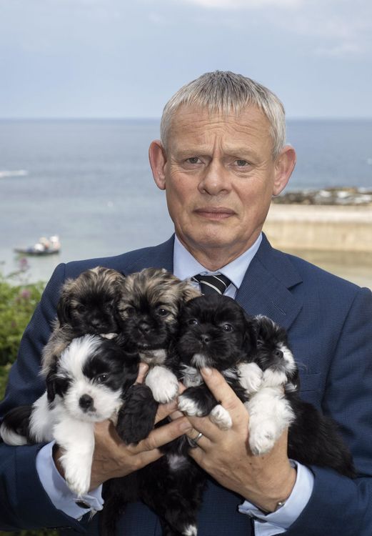 Produktbild: Doc Martin - Staffel 9 [2 DVDs]