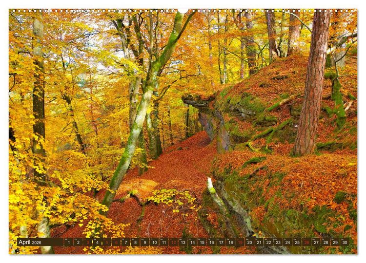 Produktbild: Der Altschlossfelsen - Gr&ouml;&szlig;te Felsformation der Pfalz im herbstlichen Farbspiel (hochwertiger Premium Wandkalender 2026 DIN A2 quer), Kunstdruck in Hochglanz