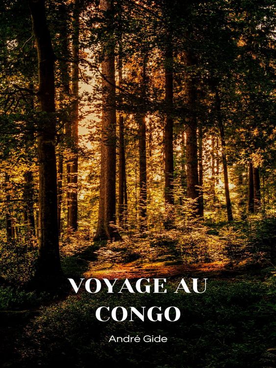 Produktbild: Voyage au Congo