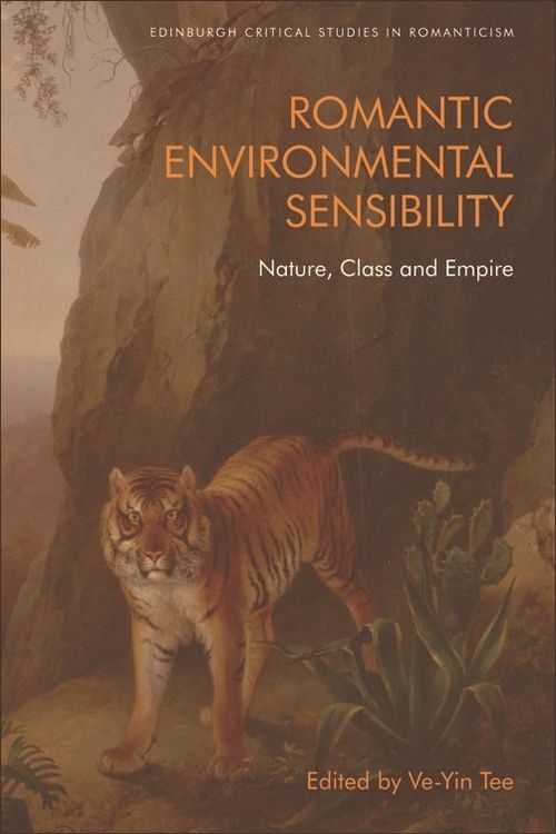 Produktbild: Romantic Environmental Sensibility