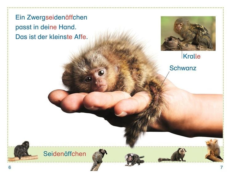 Produktbild: SUPERLESER! Zu Besuch bei den Affen