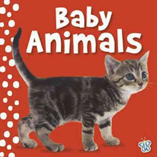 Produktbild: Baby Animals