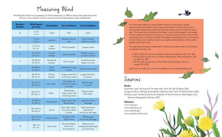 Produktbild: Wind Is a Dance