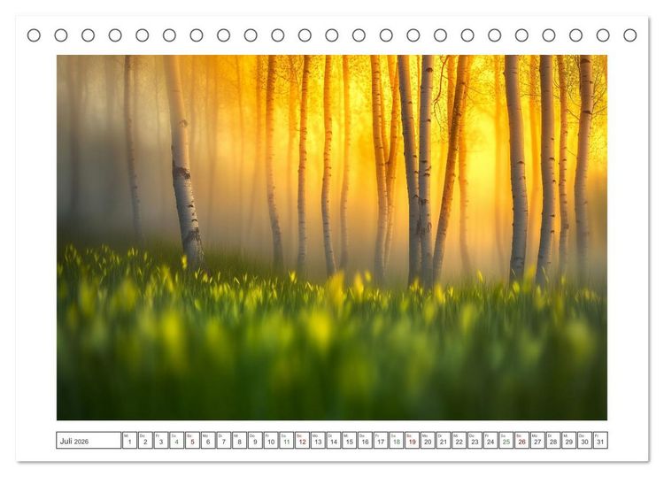 Produktbild: Birkenzauber (Tischkalender 2026 DIN A5 quer), CALVENDO Monatskalender