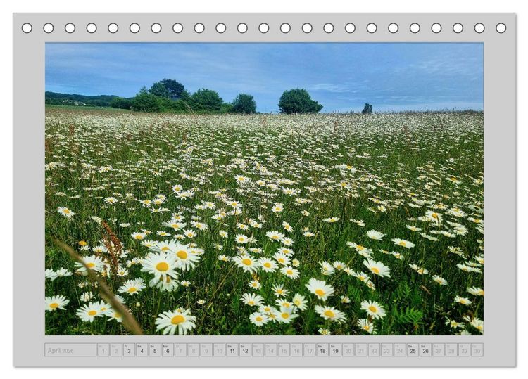Produktbild: M&ouml;n...die Sch&ouml;nheit einer d&auml;nischen Insel (Tischkalender 2026 DIN A5 quer), CALVENDO Monatskalender